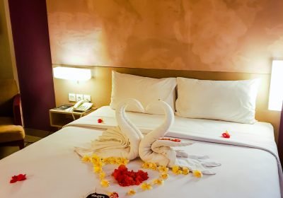 Swan figures put on honeymoon bed looking like heart shape with rose petals in hotel suite