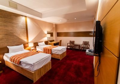 Standard Twin Room in hotel